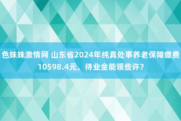 色妹妹激情网 山东省2024年纯真处事养老保障缴费10598.4元，待业金能领些许？