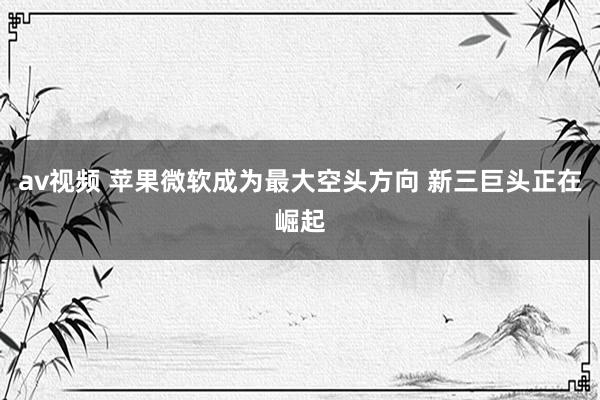 av视频 苹果微软成为最大空头方向 新三巨头正在崛起