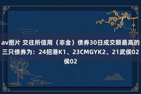 av图片 交往所信用（非金）债券30日成交额最高的三只债券为：24招港K1、23CMGYK2、21武侯02