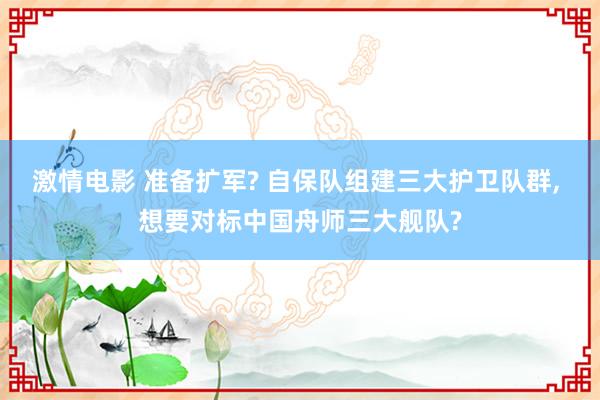 激情电影 准备扩军? 自保队组建三大护卫队群， 想要对标中国舟师三大舰队?