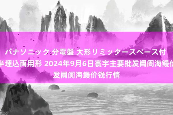 パナソニック 分電盤 大形リミッタースペース付 露出・半埋込両用形 2024年9月6日寰宇主要批发阛阓海鳗价钱行情