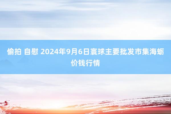 偷拍 自慰 2024年9月6日寰球主要批发市集海蛎价钱行情