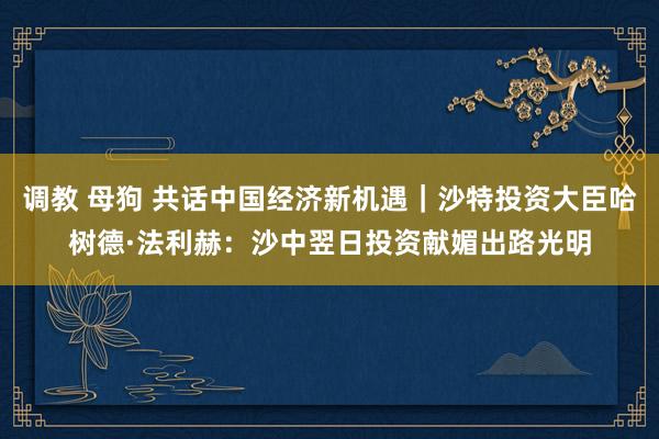 调教 母狗 共话中国经济新机遇｜沙特投资大臣哈树德·法利赫：沙中翌日投资献媚出路光明