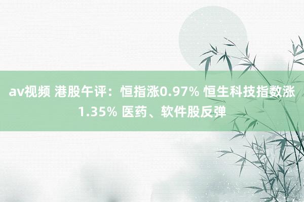 av视频 港股午评：恒指涨0.97% 恒生科技指数涨1.35% 医药、软件股反弹