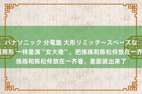 パナソニック 分電盤 大形リミッタースペースなし 露出・半埋込両用形 一样是演“女大佬”，把练练和陈松伶放在一齐看，差距就出来了