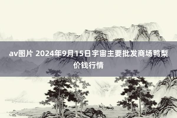 av图片 2024年9月15日宇宙主要批发商场鸭梨价钱行情