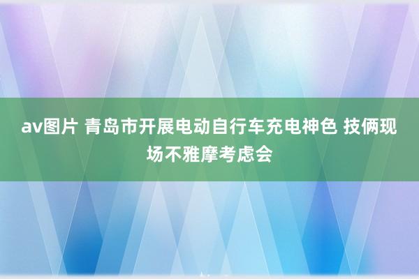 av图片 青岛市开展电动自行车充电神色 技俩现场不雅摩考虑会