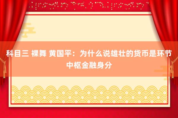 科目三 裸舞 黄国平：为什么说雄壮的货币是环节中枢金融身分