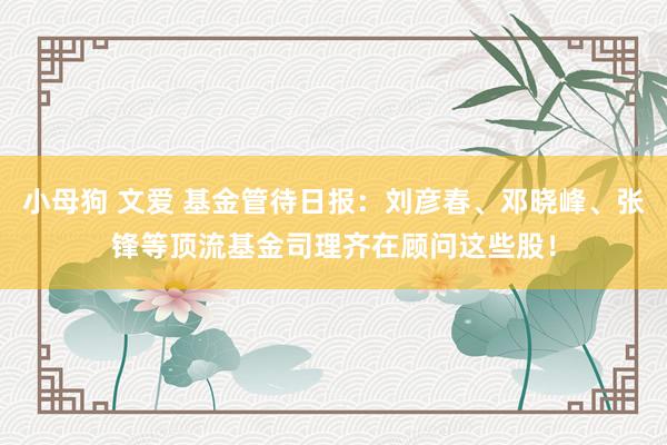 小母狗 文爱 基金管待日报：刘彦春、邓晓峰、张锋等顶流基金司理齐在顾问这些股！