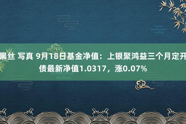 黑丝 写真 9月18日基金净值：上银聚鸿益三个月定开债最新净值1.0317，涨0.07%