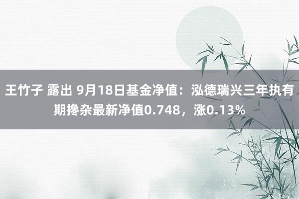 王竹子 露出 9月18日基金净值：泓德瑞兴三年执有期搀杂最新净值0.748，涨0.13%