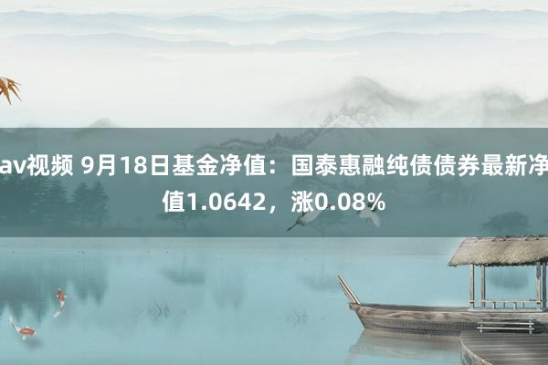 av视频 9月18日基金净值：国泰惠融纯债债券最新净值1.0642，涨0.08%