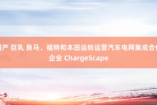 国产 巨乳 良马、福特和本田运转运营汽车电网集成合伙企业 ChargeScape