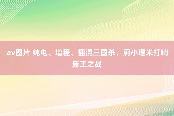 av图片 纯电、增程、插混三国杀，蔚小理米打响新王之战