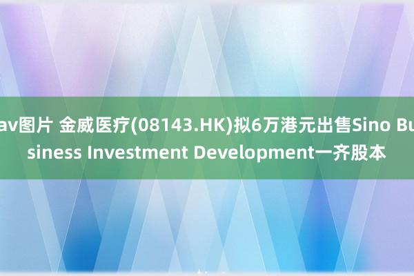 av图片 金威医疗(08143.HK)拟6万港元出售Sino Business Investment Development一齐股本