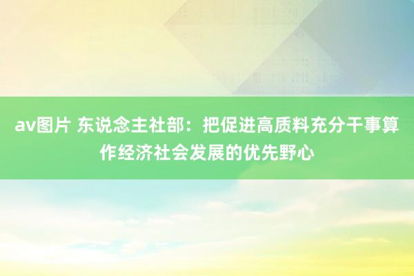 av图片 东说念主社部：把促进高质料充分干事算作经济社会发展的优先野心