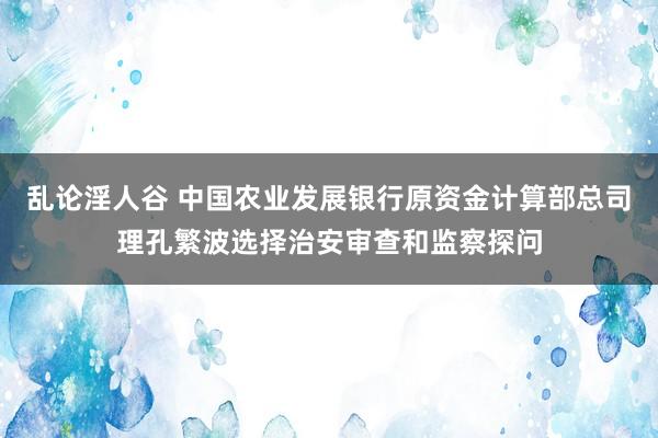 乱论淫人谷 中国农业发展银行原资金计算部总司理孔繁波选择治安审查和监察探问