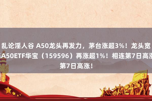 乱论淫人谷 A50龙头再发力，茅台涨超3%！龙头宽基A50ETF华宝（159596）再涨超1%！相连第7日高涨！