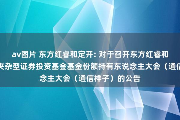 av图片 东方红睿和定开: 对于召开东方红睿和三年如期绽放夹杂型证券投资基金基金份额持有东说念主大会（通信样子）的公告