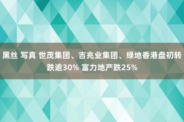 黑丝 写真 世茂集团、吉兆业集团、绿地香港盘初转跌逾30% 富力地产跌25%