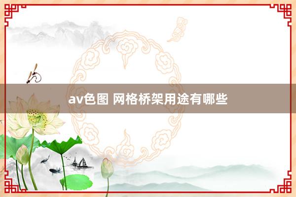 av色图 网格桥架用途有哪些