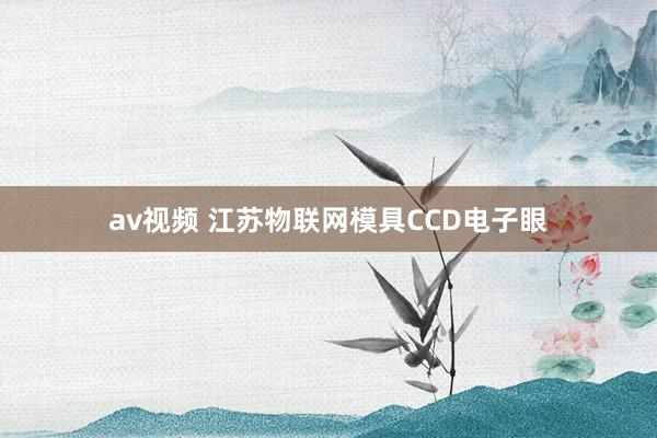 av视频 江苏物联网模具CCD电子眼