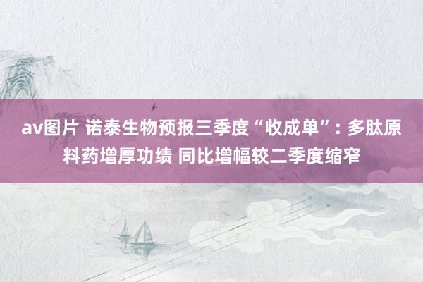 av图片 诺泰生物预报三季度“收成单”: 多肽原料药增厚功绩 同比增幅较二季度缩窄