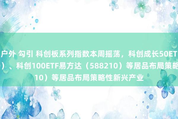 户外 勾引 科创板系列指数本周摇荡，科创成长50ETF（588020）、科创100ETF易方达（588210）等居品布局策略性新兴产业