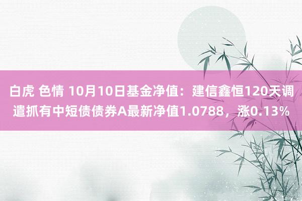 白虎 色情 10月10日基金净值：建信鑫恒120天调遣抓有中短债债券A最新净值1.0788，涨0.13%