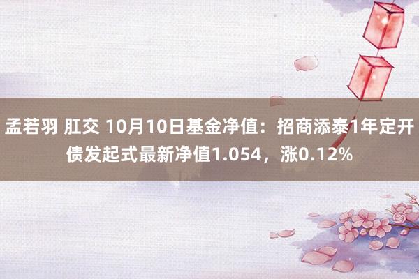 孟若羽 肛交 10月10日基金净值：招商添泰1年定开债发起式最新净值1.054，涨0.12%