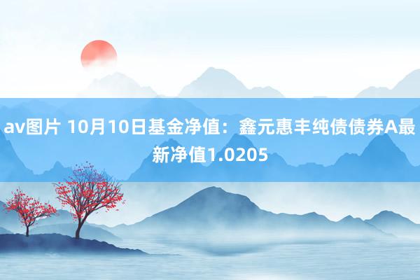 av图片 10月10日基金净值：鑫元惠丰纯债债券A最新净值1.0205