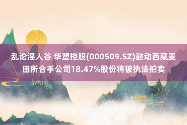 乱论淫人谷 华塑控股(000509.SZ)鼓动西藏麦田所合手公司18.47%股份将被执法拍卖