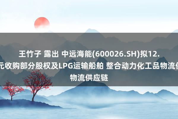 王竹子 露出 中远海能(600026.SH)拟12.61亿元收购部分股权及LPG运输船舶 整合动力化工品物流供应链