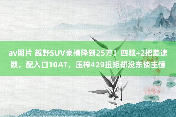 av图片 越野SUV豪横降到25万！四驱+2把差速锁，配入口10AT，压榨429扭矩却没东谈主懂