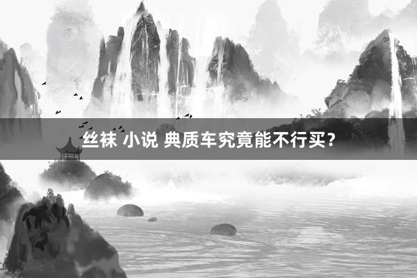 丝袜 小说 典质车究竟能不行买？