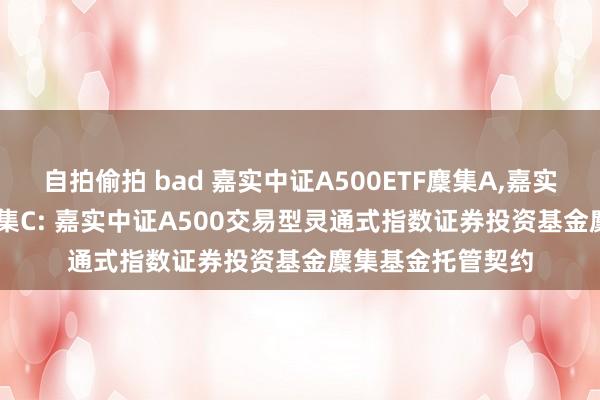 自拍偷拍 bad 嘉实中证A500ETF麇集A，嘉实中证A500ETF麇集C: 嘉实中证A500交易型灵通式指数证券投资基金麇集基金托管契约