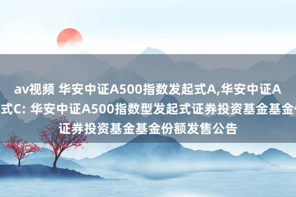 av视频 华安中证A500指数发起式A，华安中证A500指数发起式C: 华安中证A500指数型发起式证券投资基金基金份额发售公告