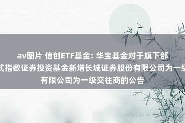 av图片 信创ETF基金: 华宝基金对于旗下部分交往型怒放式指数证券投资基金新增长城证券股份有限公司为一级交往商的公告