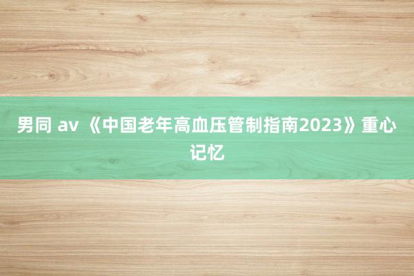 男同 av 《中国老年高血压管制指南2023》重心记忆