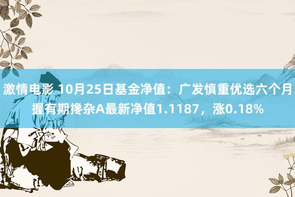 激情电影 10月25日基金净值：广发慎重优选六个月握有期搀杂A最新净值1.1187，涨0.18%