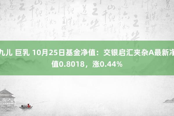 九儿 巨乳 10月25日基金净值：交银启汇夹杂A最新净值0.8018，涨0.44%