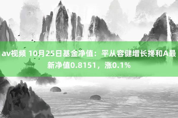 av视频 10月25日基金净值：平从容健增长搀和A最新净值0.8151，涨0.1%