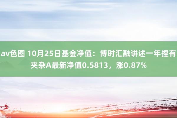 av色图 10月25日基金净值：博时汇融讲述一年捏有夹杂A最新净值0.5813，涨0.87%