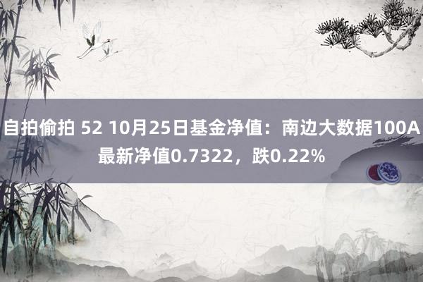 自拍偷拍 52 10月25日基金净值：南边大数据100A最新净值0.7322，跌0.22%