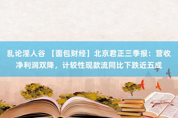 乱论淫人谷 【面包财经】北京君正三季报：营收净利润双降，计较性现款流同比下跌近五成