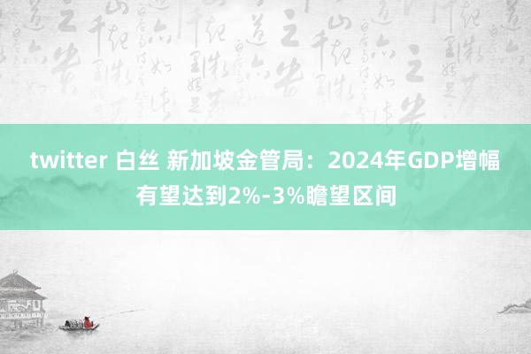 twitter 白丝 新加坡金管局：2024年GDP增幅有望达到2%-3%瞻望区间