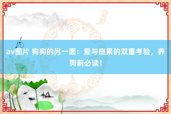 av图片 狗狗的另一面：爱与拖累的双重考验，养狗前必读！