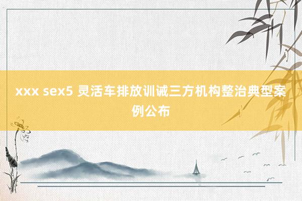 xxx sex5 灵活车排放训诫三方机构整治典型案例公布