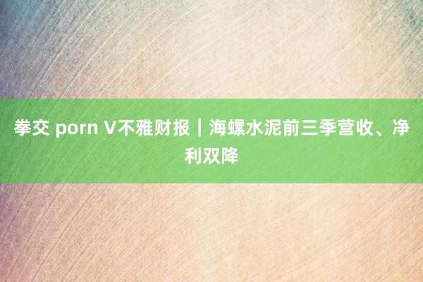 拳交 porn V不雅财报｜海螺水泥前三季营收、净利双降