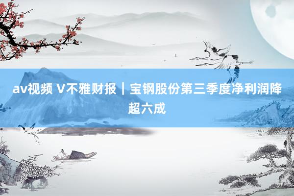 av视频 V不雅财报｜宝钢股份第三季度净利润降超六成